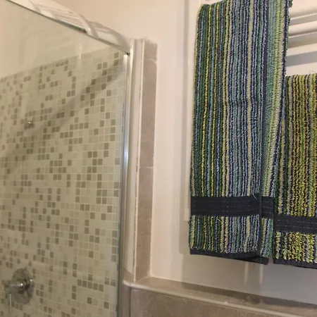 Shelley 라스페치아