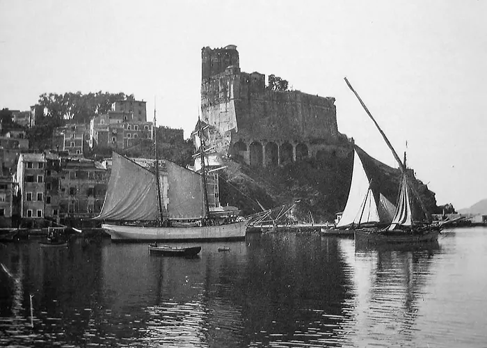 בית הארחה Shelley