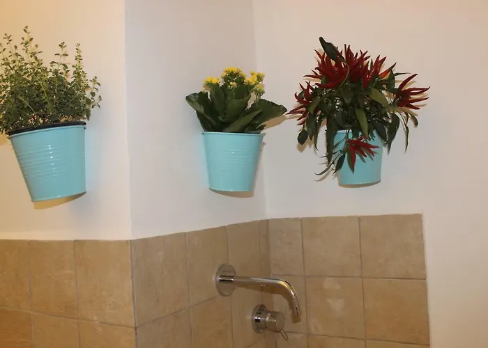 Shelley Πανσιόν 3*